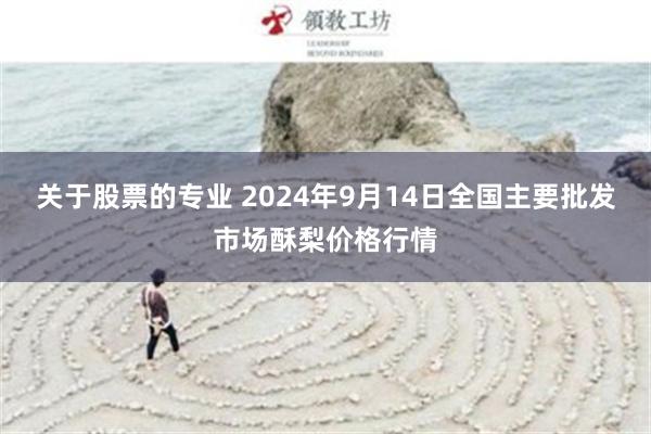 关于股票的专业 2024年9月14日全国主要批发市场酥梨价格行情