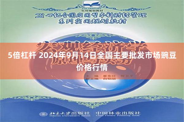 5倍杠杆 2024年9月14日全国主要批发市场豌豆价格行情