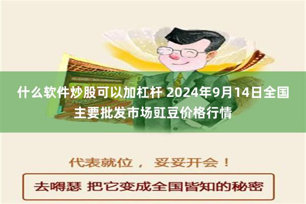 什么软件炒股可以加杠杆 2024年9月14日全国主要批发市场豇豆价格行情