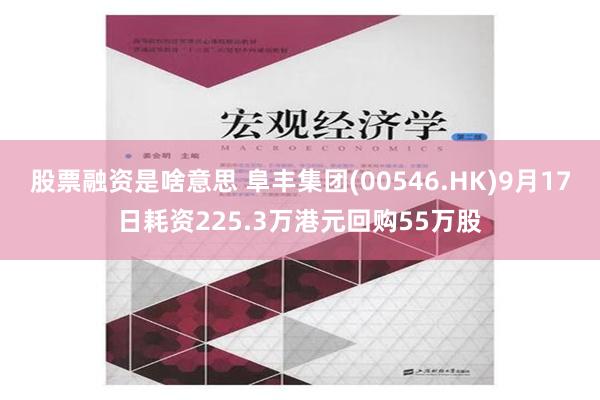 股票融资是啥意思 阜丰集团(00546.HK)9月17日耗资225.3万港元回购55万股