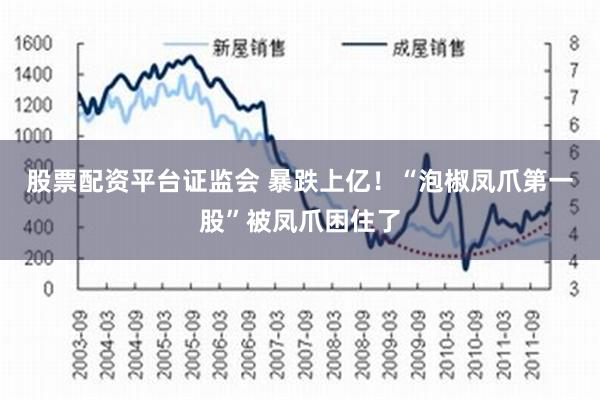 股票配资平台证监会 暴跌上亿！“泡椒凤爪第一股”被凤爪困住了