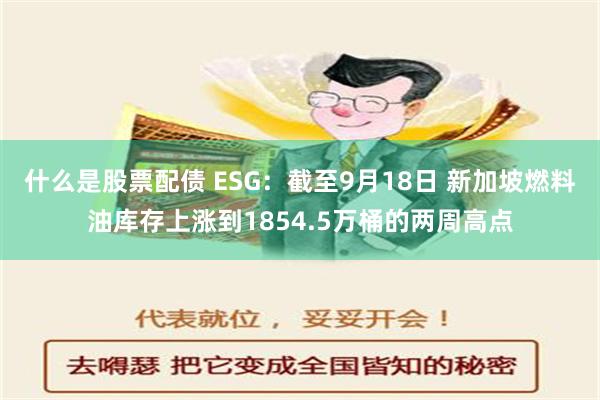 什么是股票配债 ESG：截至9月18日 新加坡燃料油库存上涨到1854.5万桶的两周高点