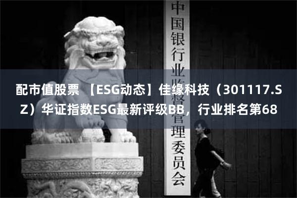 配市值股票 【ESG动态】佳缘科技（301117.SZ）华证指数ESG最新评级BB，行业排名第68