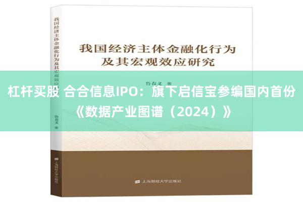 杠杆买股 合合信息IPO：旗下启信宝参编国内首份《数据产业图谱（2024）》