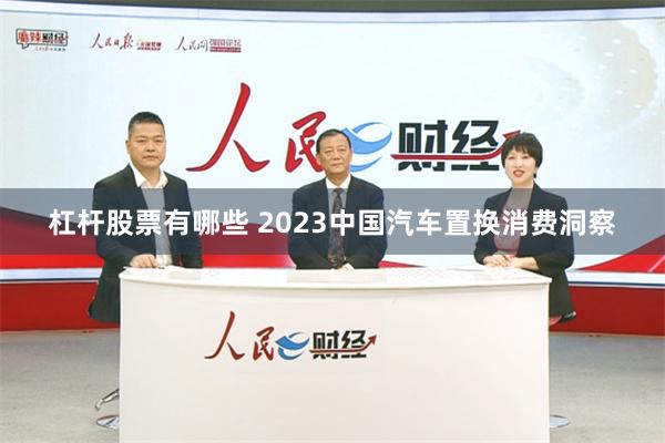 杠杆股票有哪些 2023中国汽车置换消费洞察