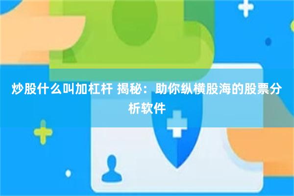 炒股什么叫加杠杆 揭秘：助你纵横股海的股票分析软件