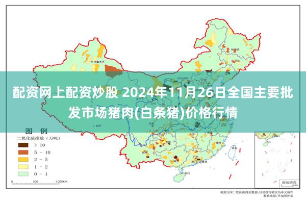 配资网上配资炒股 2024年11月26日全国主要批发市场猪肉(白条猪)价格行情