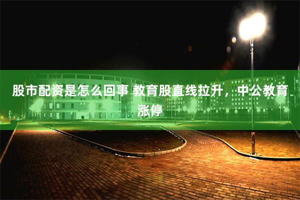 股市配资是怎么回事 教育股直线拉升，中公教育涨停